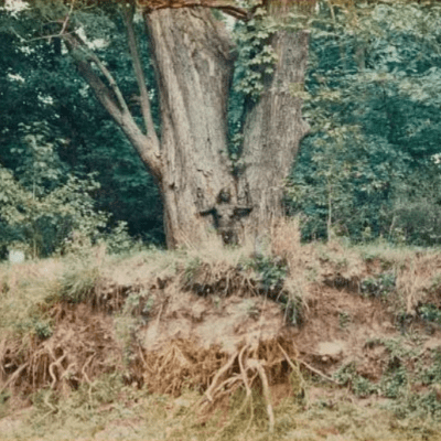 The Edgelands: Body As&nbsp;Edgeland