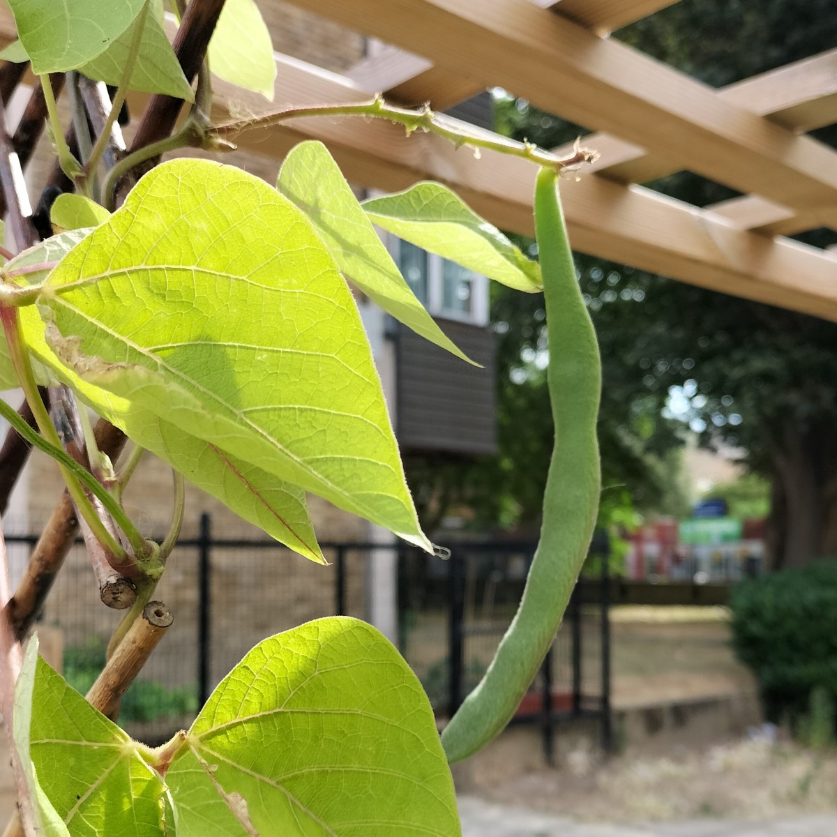 Trespassing Time with Friends: Growth, Land, Harvest, and the Darkroom of the&nbsp;Self